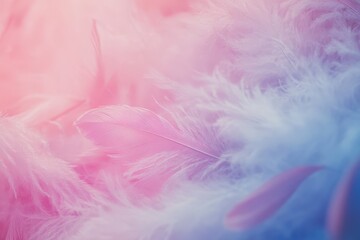 Delicate feathers in soft pink and blue hues create an ethereal atmosphere, showcasing a serene and calming aesthetic perfect for artistic backgrounds.