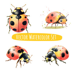 Fototapeta premium Whimsical Watercolor Ladybugs Set of Four