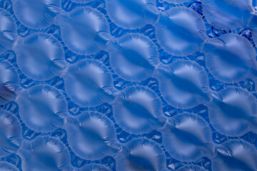 Cushions bubble wrap on blue background, abstract texture backdrop for product placement