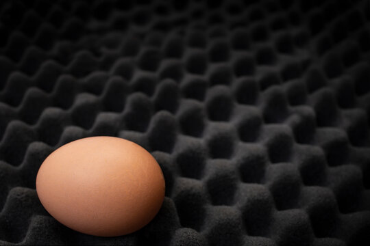 Single egg on noise absorbing black foam, protection abstract concept - Powered by Adobe