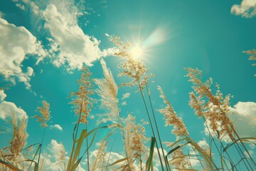 nostalgia background