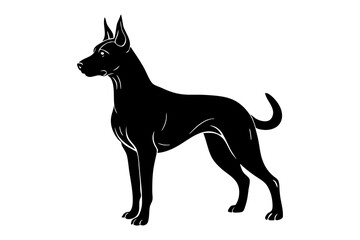 Belgian Malinois Silhouette in Protective Stance with Alert Ears