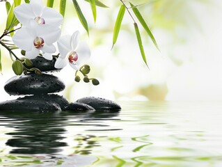 White orchids and zen stones on calm water.