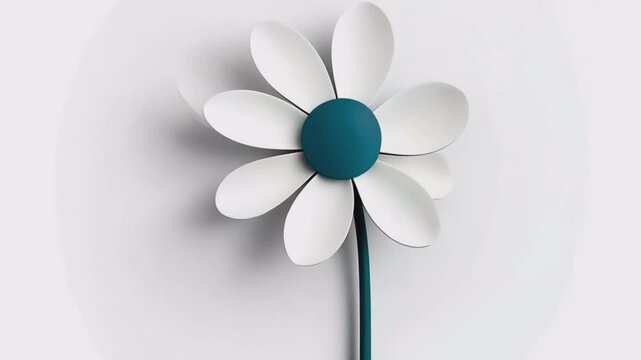 Minimalist Daisy Flower on White Background