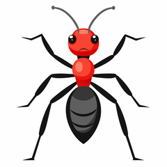 ant cartoon vector design