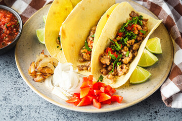 Delicious Spicy Mexican Tacos with Beef, Salsa, and Vegetables, Homemade Street Food, Healthy and Juicy Meal
