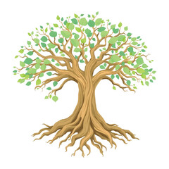 tree isolated vector 