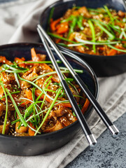 Wok Chicken with Funchoza and Vegetables, Asian Stir-Fry Delight, Tasty and Healthy Gourmet Dish