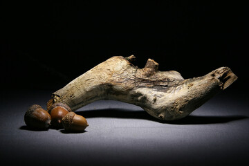 A piece of old driftwood or aged wooden stick lies on a table against a dark background