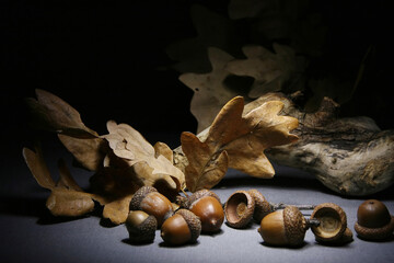 Acorns and dry oak leaves lie on a table covered with gray cloth