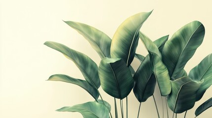 Lush green tropical leaves against a cream wall.