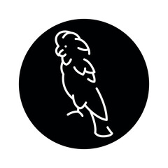 Cacatua moluccensis color icon.