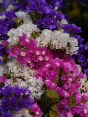 Fototapeta premium beautiful flowers in the flower shop