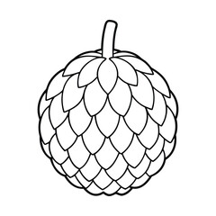 Black and white Outline illustration of an Annona squamosa (sugar apple) fruit