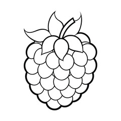 Black and white outline of a boysenberry with leaves and stem