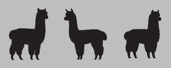 Silhouettes of three alpacas with unique wool patterns on a gray background