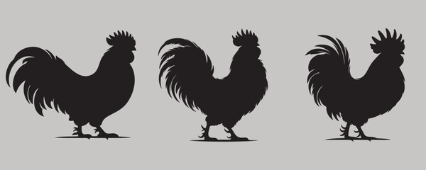 Three Bantam chicken silhouettes with distinctive combs and flowing tail feathers on a gray background