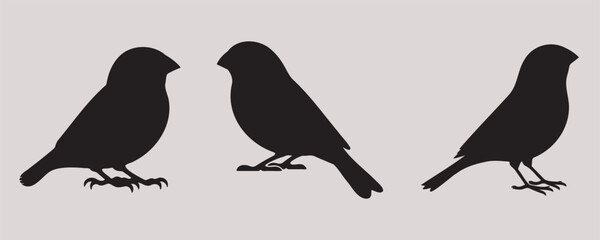 Fototapeta premium A set of three canary bird silhouettes in side profile, showcasing sleek, minimalistic designs on a light background