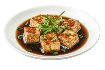 Braised Tofu in savory broth, elegantly isolated on white.