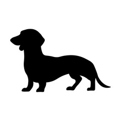 Dog silhouette isolated on white background. Dachshund silhouette