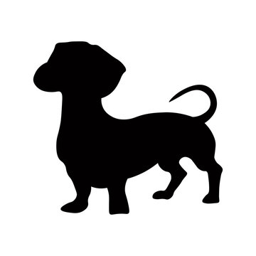 recommend clip art: Dog silhouette isolated on white background. Dachshund silhouette 6