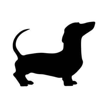 recommend clip art: Dog silhouette isolated on white background. Dachshund silhouette 8