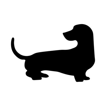 recommend clip art: Dog silhouette isolated on white background. Dachshund silhouette