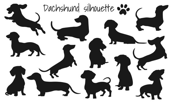Dog silhouette set. Dachshund silhouette set
