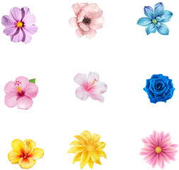 Set of Flowers with Transparent Background – High-Quality Isolated Graphics