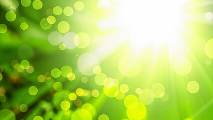 Blurred bokeh background of fresh green spring, summer foliage of tree leaves with blue sky and sun flare