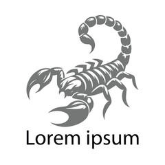 "Venomous Precision Scorpion Logo"
"Stinger Strength Branding Design"