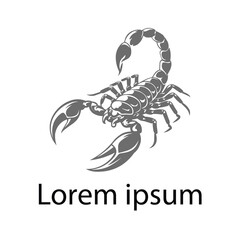 "Venomous Precision Scorpion Logo"
"Stinger Strength Branding Design"