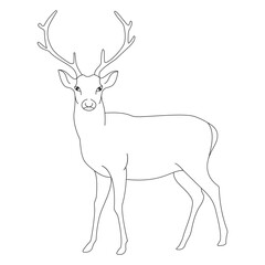 Elegant Deer Line Art Vector Illustration