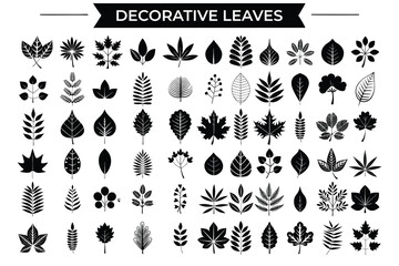 Decorative leaves collection vector,  decorative leaves collection featuring a versatile set of intricate leaf ornaments