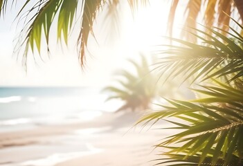 Blurred Tropical Beach Background with Palm Leaves and Ocean View
