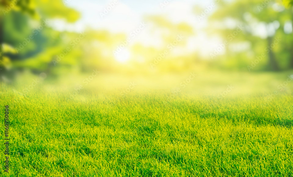 Poster Beautiful blurred background image of spring nature with a neatly trimmed lawn surrounded by trees against sky on a bright sunny day.