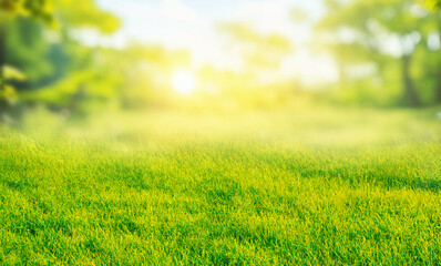 Beautiful blurred background image of spring nature with a neatly trimmed lawn surrounded by trees against sky on a bright sunny day.