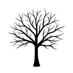Obraz premium Tree without leaves silhouette | vector silhouette illustration on white background