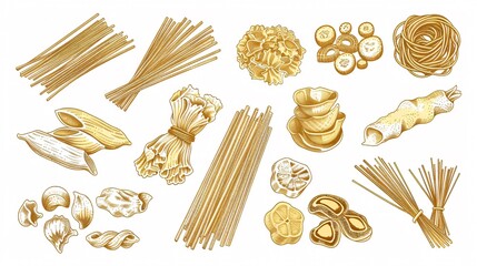 Hand drawn various sorts and shapes of pasta for culinary design projects