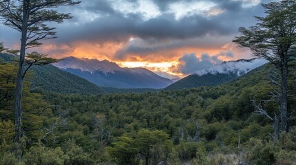 Dramatic sunset over mountain range and forest.