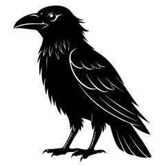 Obraz premium Common Raven silhouette vector style printable png