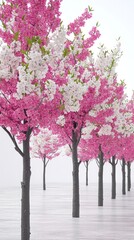 Obraz premium A serene scene of pink and white flowering trees in a minimalist setting.
