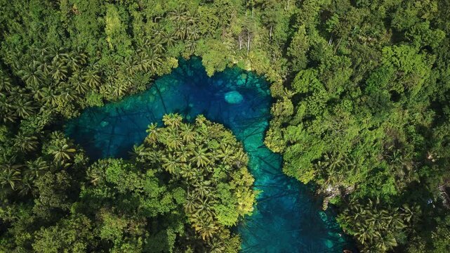 Fresh water lake with crystal water in tropical forest, Indonesia, above view