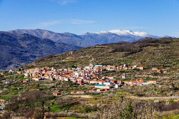 Cherry blossoms -Prunus cerasus-, Casas del Castañar village, Jerte valley, Cáceres, Extremadura,...