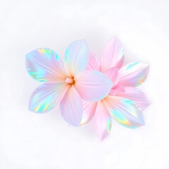 Fototapeta premium Beautiful flower collection 