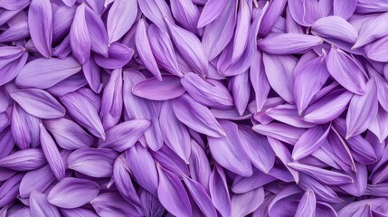 Purple flower petals scattered on a flat surface.