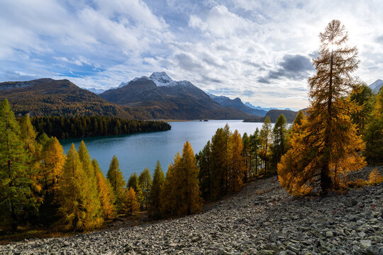Silsersee