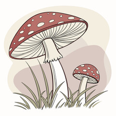 mushrooms in the grass