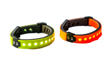 Activity Tracker for Pets on transparent background.PNG