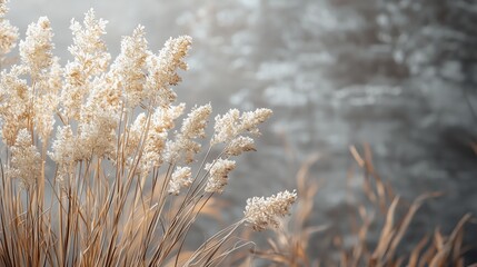 Naklejka premium Soft Golden Grass in Sunlight Against a Blurry Background